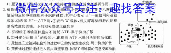 陕西省渭南市2024届高三教学质量检测[渭南二模](Ⅱ)数学