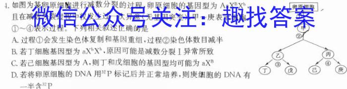 2024年安徽省名校之约第一次联考试卷数学h