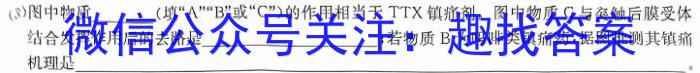 2024年湖南省初中学业水平考试模拟试卷（BEST联考）生物学试题答案