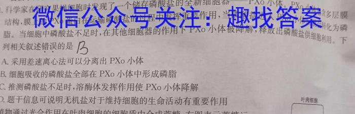 山东省枣庄2023-2024学年第一学期高三质量检测(2024.01)生物学试题答案