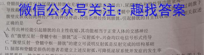 2023-2024学年河南省三甲名校原创押题试卷（二）生物学试题答案