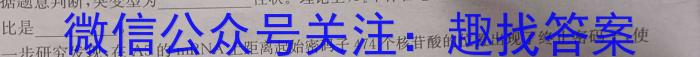 河南省新高中创新联盟TOP二十名校计划2024届高三2月联考生物学试题答案