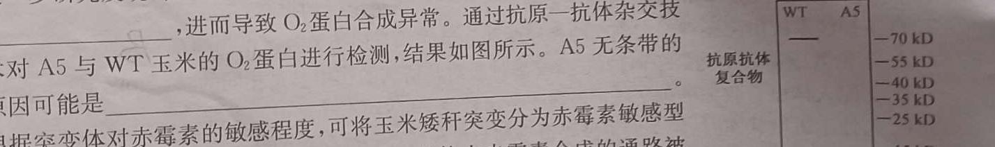 安徽省八年级涡阳县2023-2024年度第二学期义务教育教学质量检测生物学部分