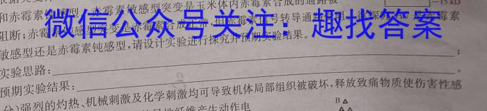 河北省唐山市迁安市2023-2024学年第一学期九年级期末教学质量检测数学