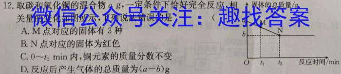 q安徽省2023-2024学年上学期九年级教学评价四化学