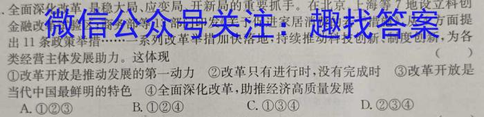 百师联盟 2024届高三冲刺卷(四)4 湖南卷政治试卷d答案