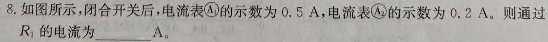 河南省滑县2023-2024学年国家课程开设情况八年级调研测试卷(5月)(物理)试卷答案