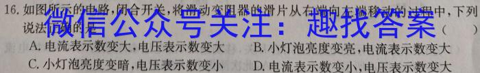 晋文源·2024年山西省中考模拟百校联考试卷（二）物理`