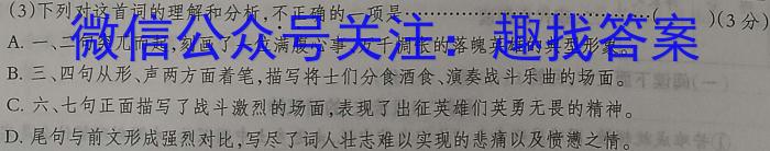 海南省海口市2023~2024学年第二学期高二年级期末考试语文