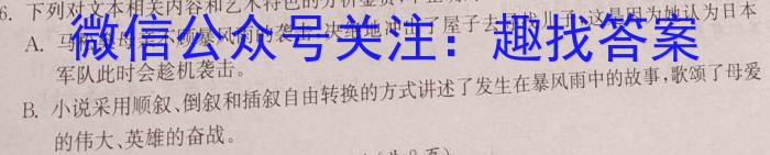 安徽省2023~2024学年度九年级上学期期末综合评估 4L R-AH/语文