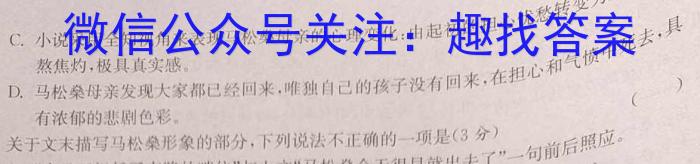 “皖韵风华·智慧挑战”九年级安徽省联盟考试语文