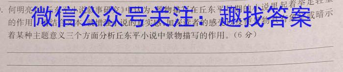 九师联盟·贵州省2024-2025学年高三教学质量监测开学考语文