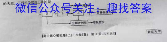 2024届吉林省高一4月联考(JL03A-24)生物学试题答案