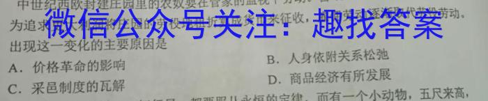 ʡ2024꼶¿ʷ