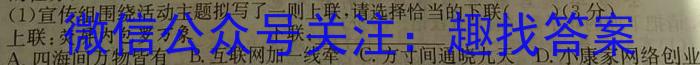 酒泉市普通高中2023-2024学年度高一年级第一学期期末考试语文