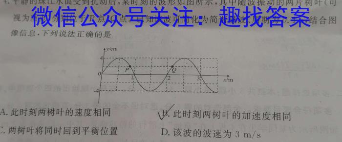 河南省2023-2024学年九年级第二学期学情分析二物理试题答案