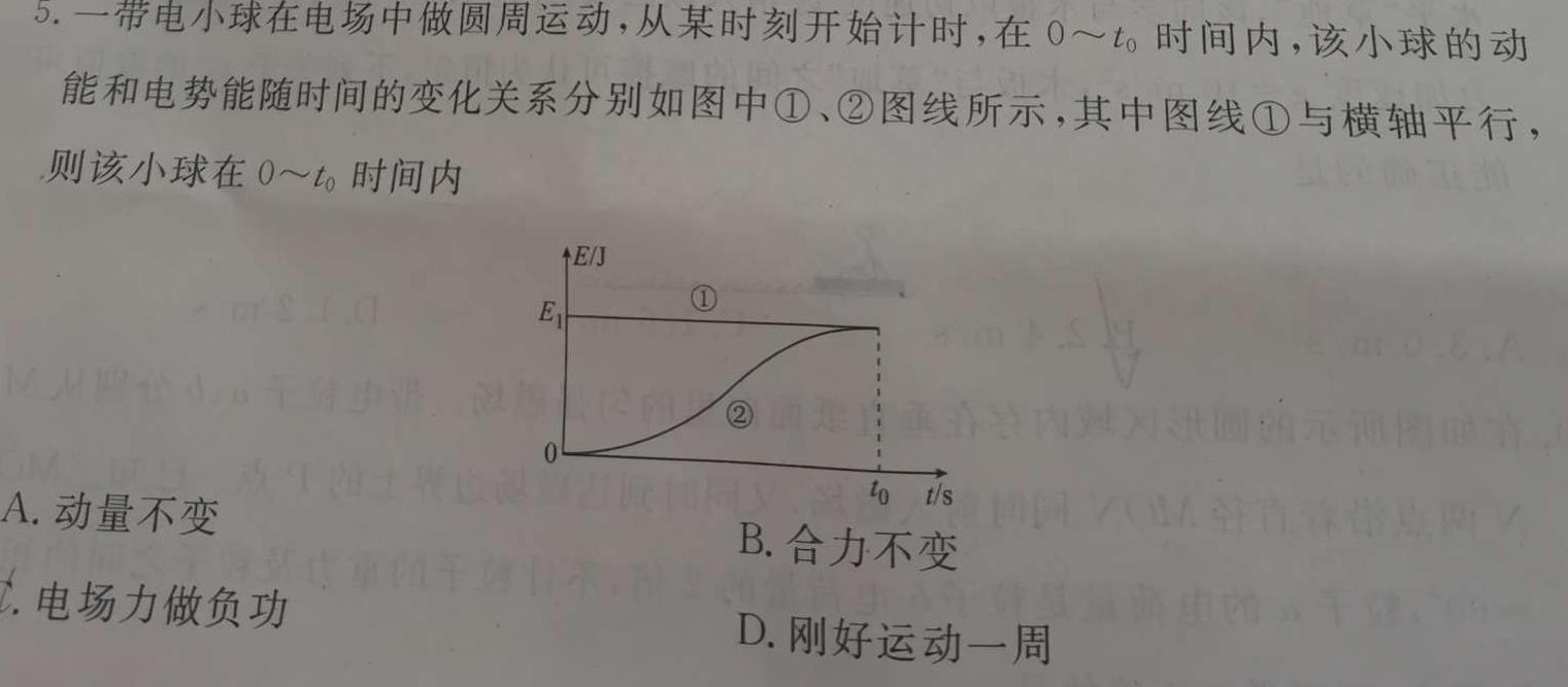 安徽省2024届九年级期末综合评估4L R物理试题.