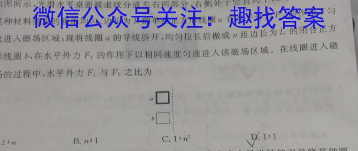 2024届陕西省中考考前抢分卷[CCZX C SX]物理试卷答案