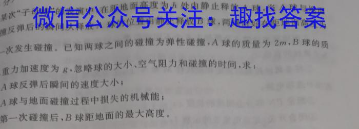 湖北省2024年春季黄冈市高中联校高二年级期中教学质量抽测h物理