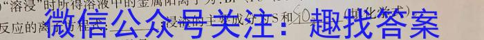 2024年河南省普通高中招生考试模拟试卷(密卷一)数学