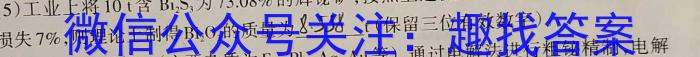 河北省衡水中学2024-2025学年度高二年级上学期第一学期综合素养测评化学