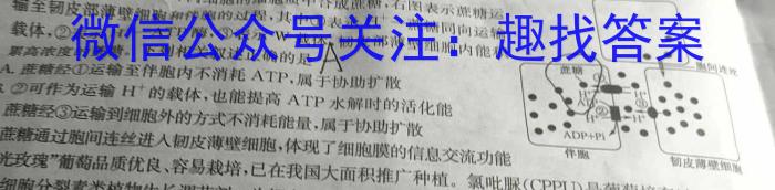 [安庆二模]安徽省2024年安庆市高三模拟考试(二模)数学
