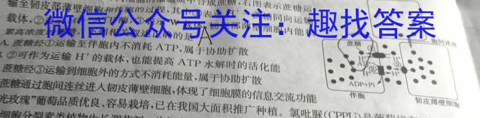 河南省2023-2024学年新乡市高一期末(上)测试(24-306A)生物学试题答案