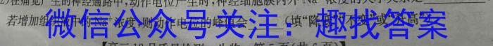 重庆市高2025届高三第一次质量检测(8月)数学