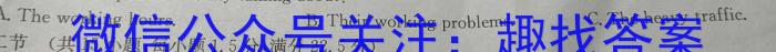 江西省2024年初中学业水平模拟考试（WS·J区专用II4）英语试卷答案