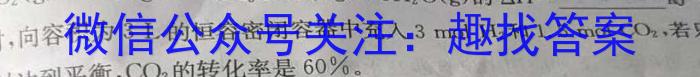 山东新高考联合质量测评9月联考试题(2024.9)数学