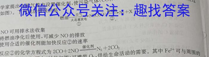 上进联考 2024年白山市第二次高三模拟考试数学