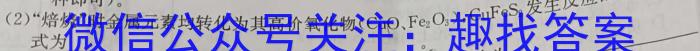 陕西省八年级华阴市2023-2024学年度第二学期期末教学质量检测数学