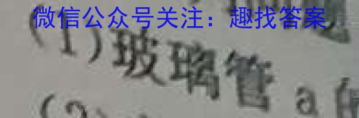 q安徽省2023-2024学年上学期八年级教学评价四(期末)化学