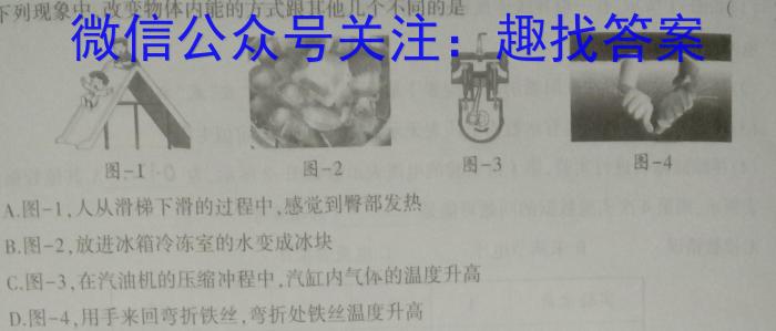 2023-2024学年度安徽省九年级联盟考试(24-CZ102c)物理试卷答案