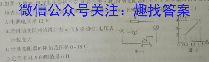 [国考1号19]第19套 2024届高考仿真考试(八)8物理试题答案