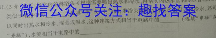 2024届安徽省初中学业水平考试(试题卷)物理试卷答案