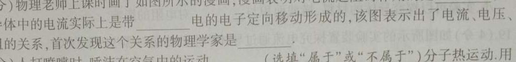 [今日更新][潍坊三模]山东省潍坊市高考模拟考试(2024.5).物理试卷答案