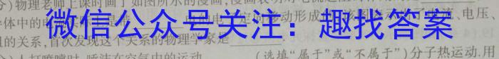 智ZH 河南省2024年中招模拟试卷(六)6物理`