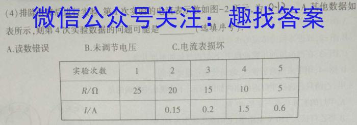 天一大联考 濮阳市2024年高一下学期期末学业质量监测物理试题答案