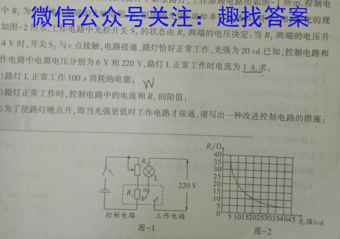 2024年中考安徽名校大联考试卷（四）物理试卷答案