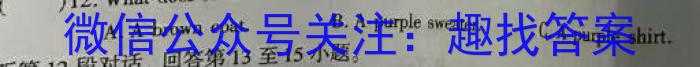 ［分段训练］江西省2025届七年级训练（八）期末英语试卷答案