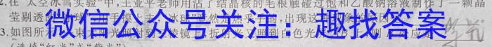 上进联考·广东省2025届高三上学期10月阶段检测考物理试题答案