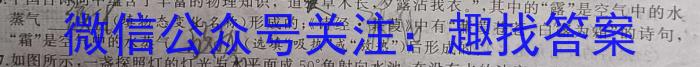 鼎成大联考2024年河南省普通高中招生考试试卷(二)物理试卷答案