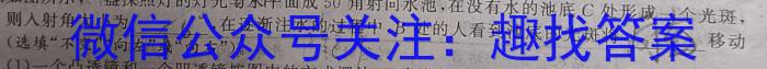 伯乐马 2024年普通高等学校招生新高考押题考试(二)2物理`