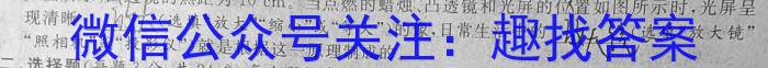 2024年河北省初中毕业生升学文化课模拟测评（六）f物理