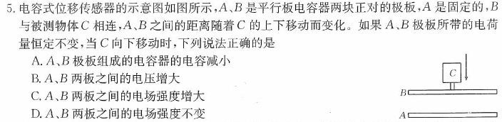 云南师大附中2025届高考适应月考卷（二）(物理)试卷答案