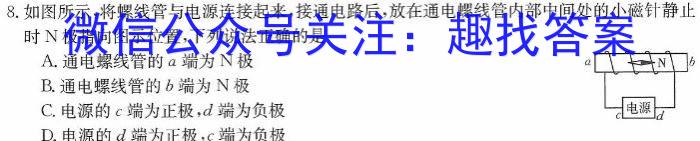 安徽省省城名校2024年中考模拟试卷物理`