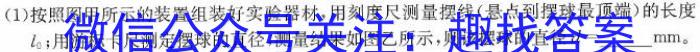 河北省2023-2024高三省级联测考试·冲刺卷Ⅱ（五）物理`