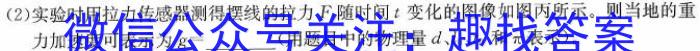 陕西省西安市西咸新区2023-2024学年度七年级第一学期期末质量检测f物理