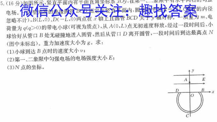 2024年德州二模 高考适应性练习物理试卷答案